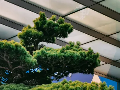 ArcaneBet Casino Aplicación móvil